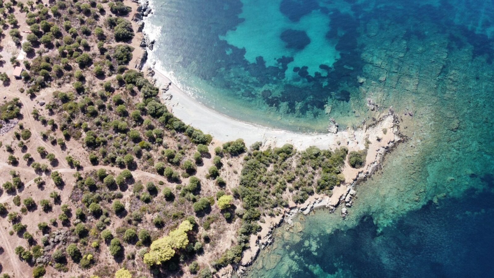 Immobilie auf Mallorca kaufen: So geht die Suche